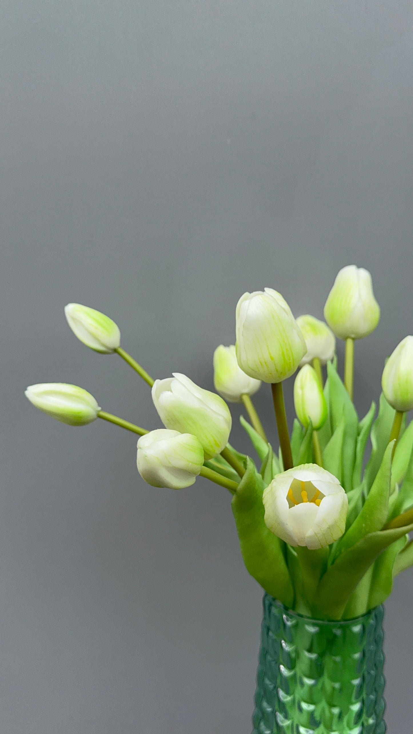 Bosje tulpen wit
