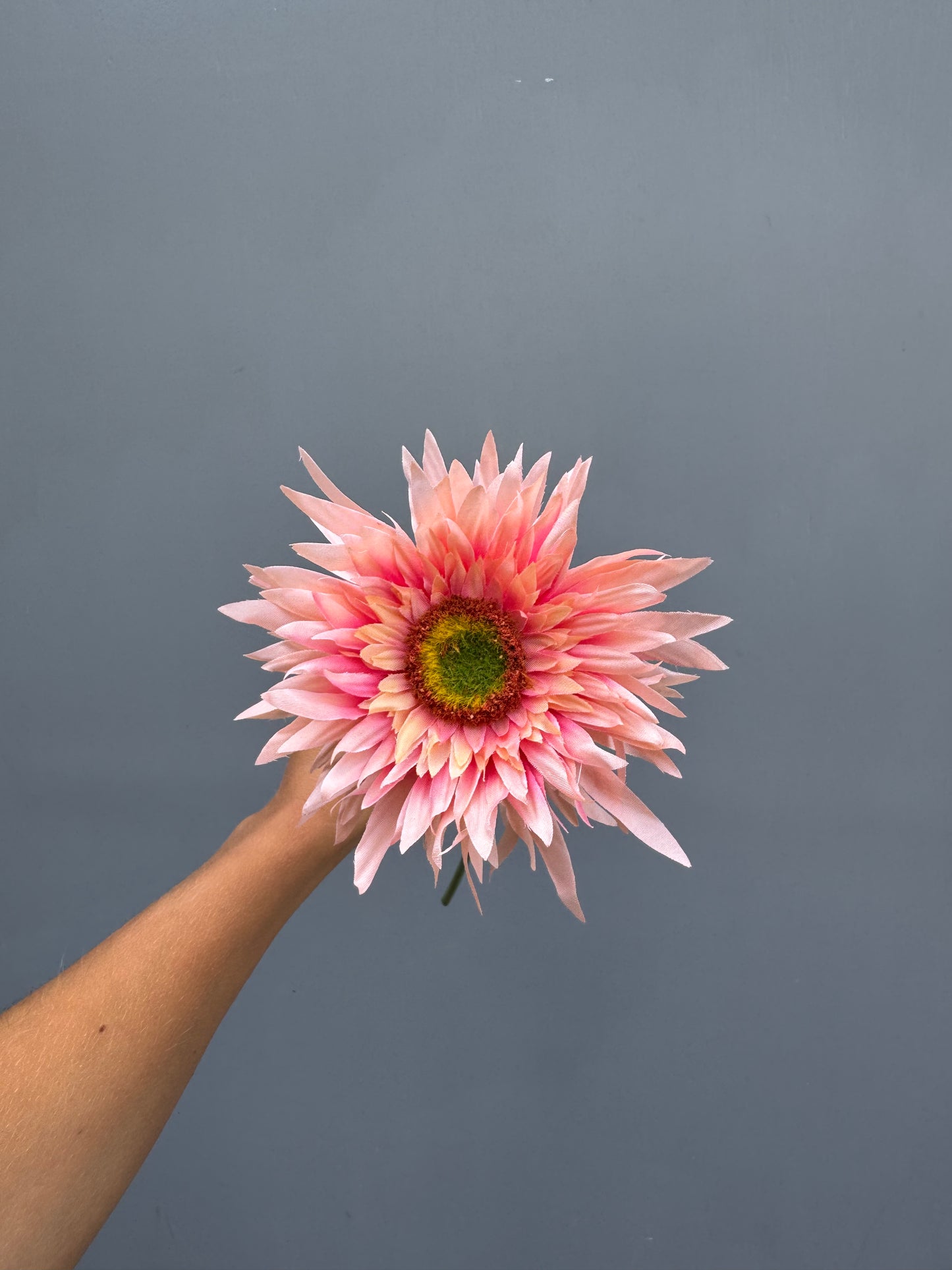 Gerbera licht roze (Silk-ka)