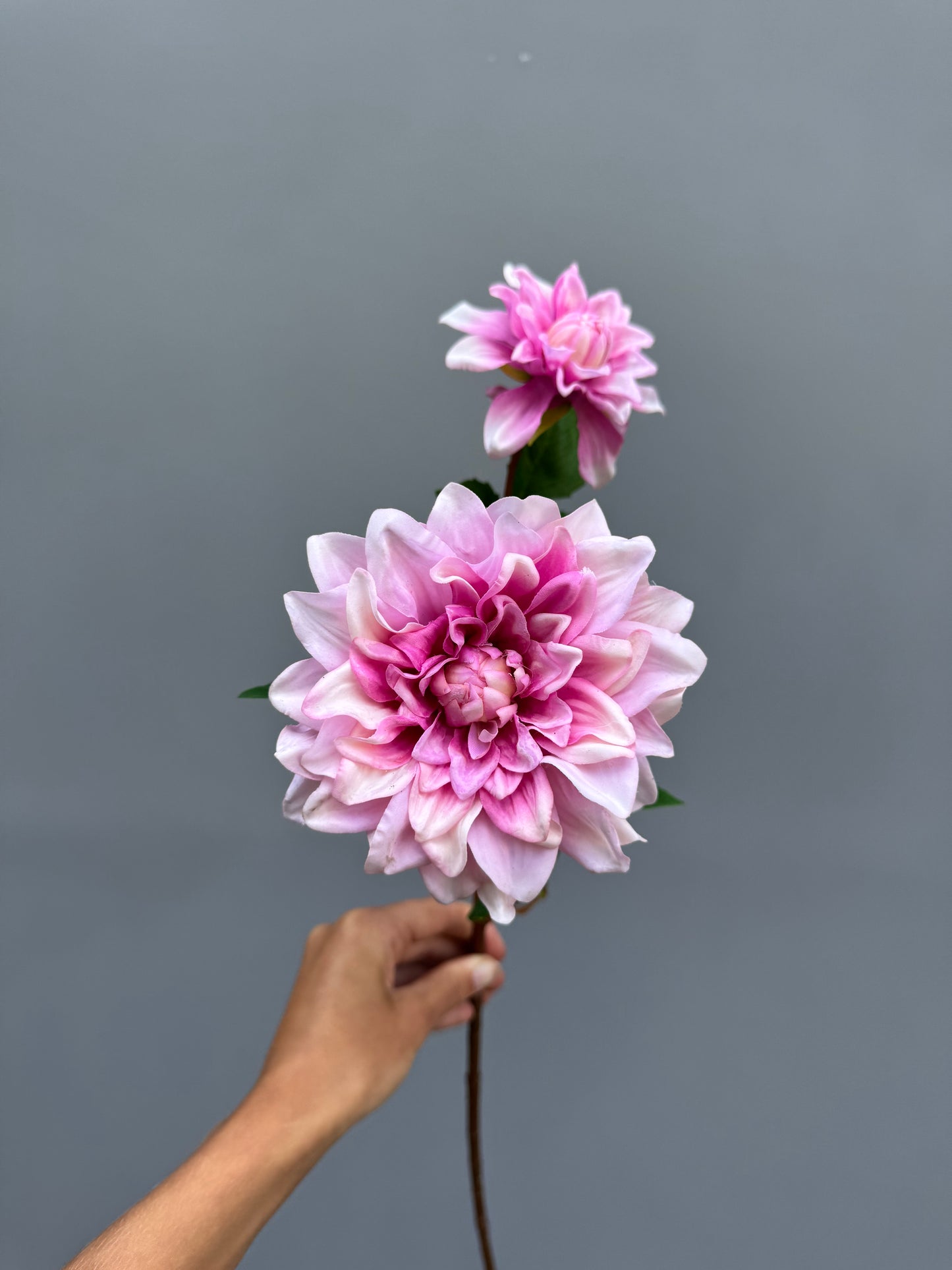Dahlia roze (Real touch)