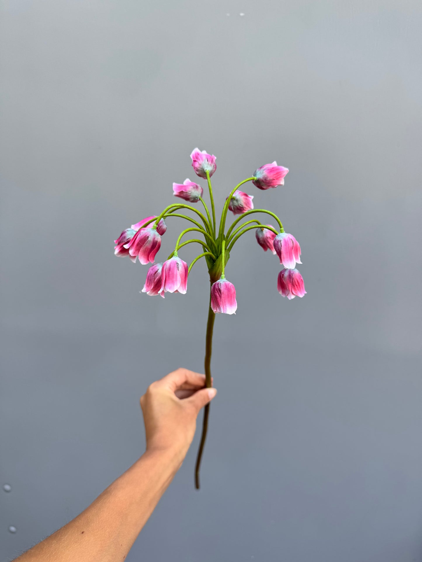 Allium roze (Silk-ka)