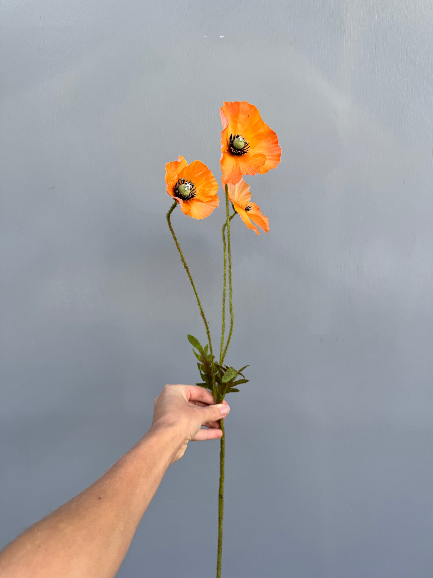 Klaproosje oranje (Silk-Ka)