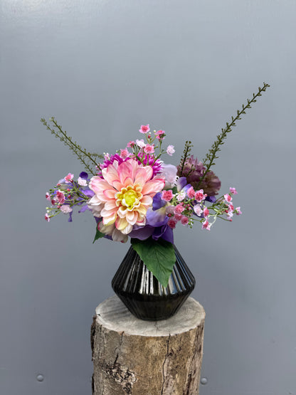 Toefje Amethistspreeuw