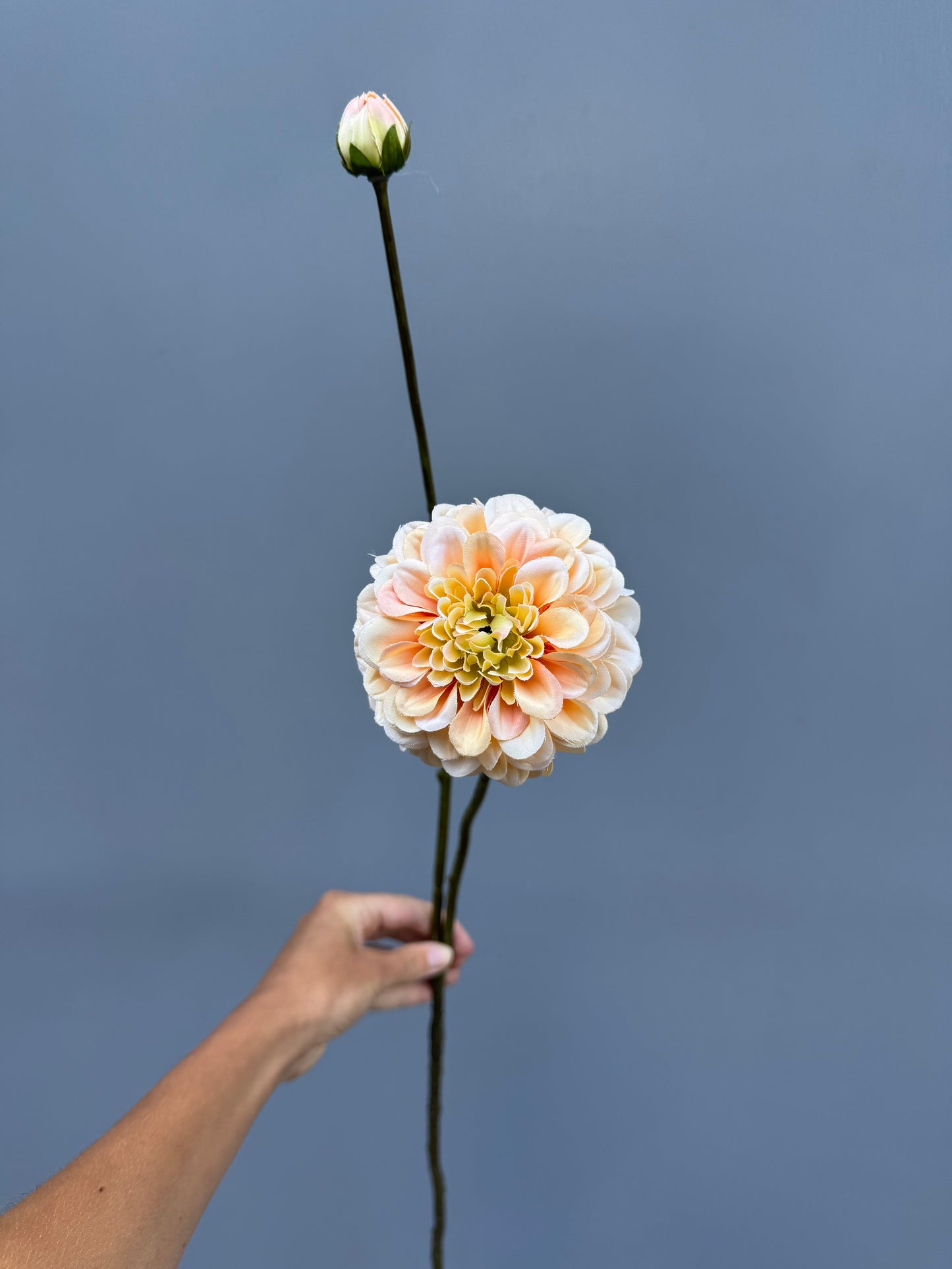 Dahlia peach (Silk-ka)