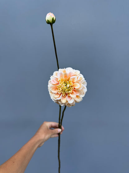 Dahlia peach (Silk-ka)