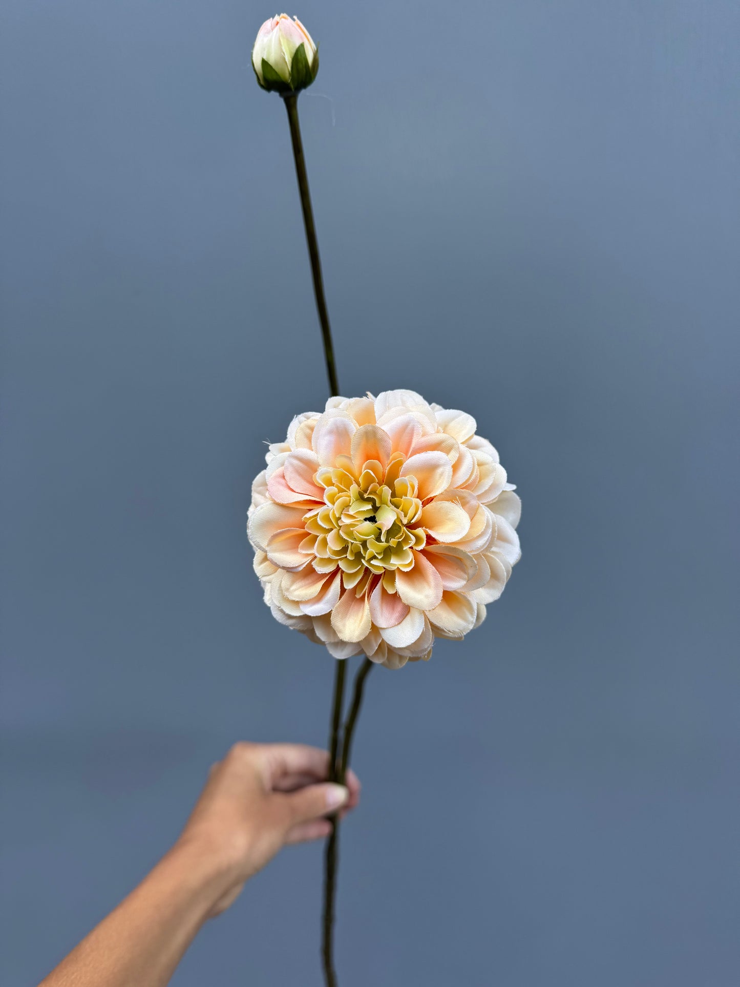 Dahlia peach (Silk-ka)