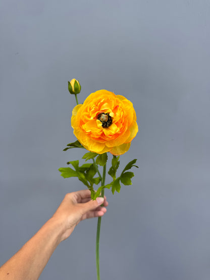 Ranonkel geel (Silk-ka)