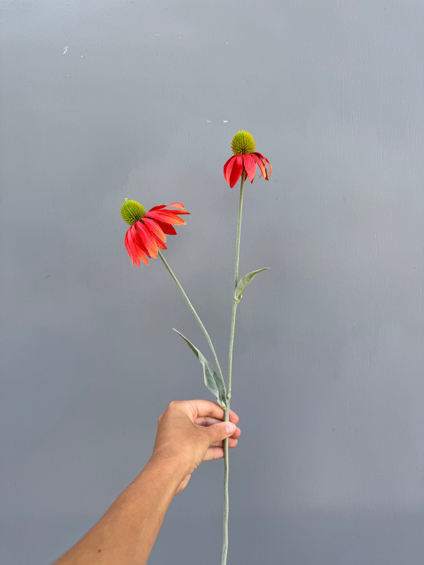 Zonnehoed oranje/rood