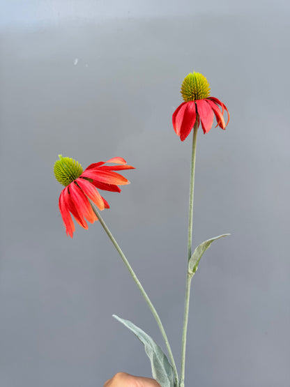 Zonnehoed oranje/rood