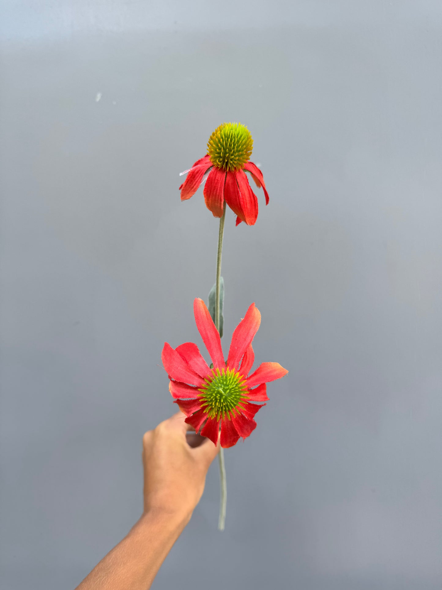 Zonnehoed oranje/rood