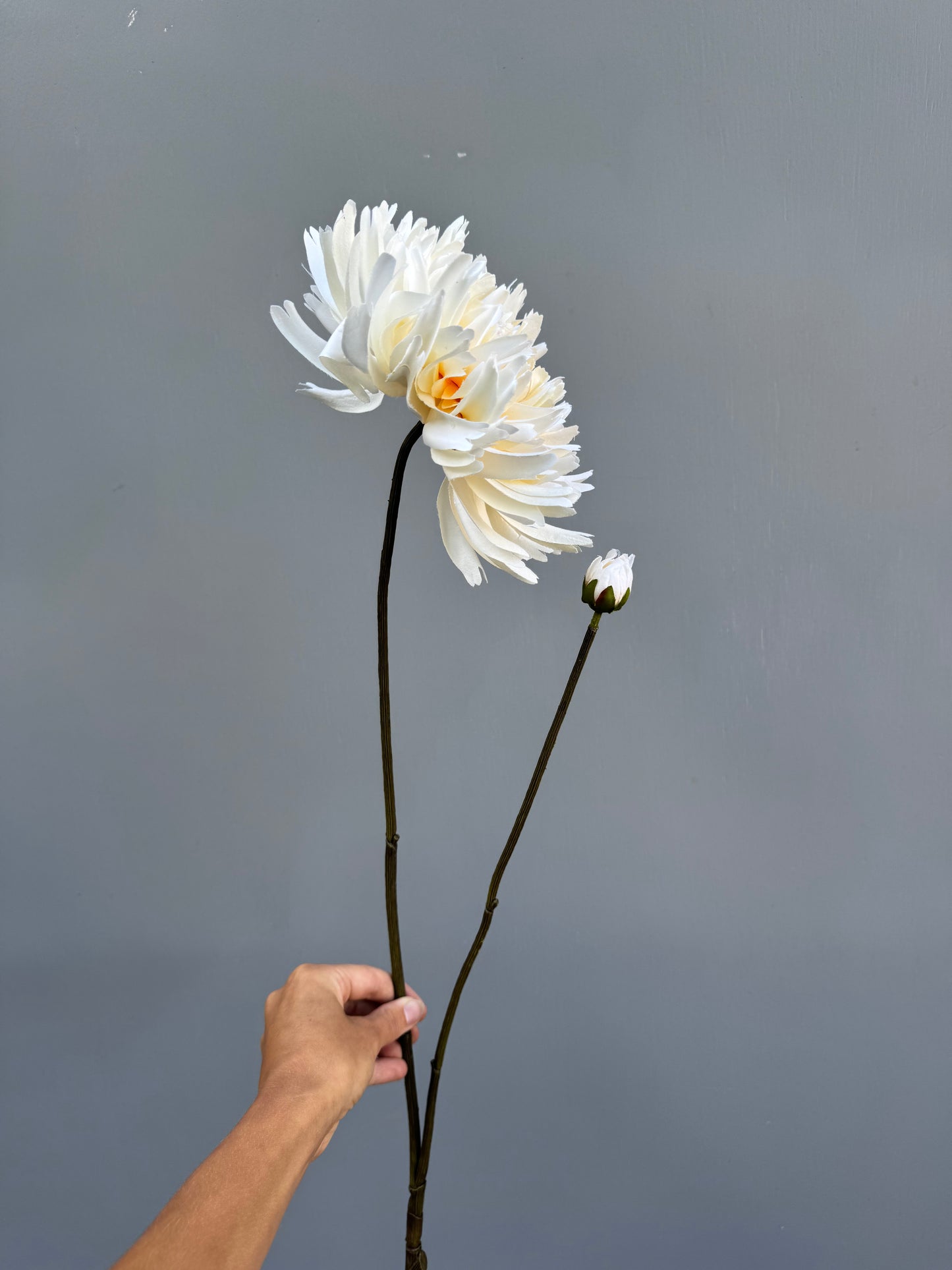 Chrysant creme (Silk-ka)