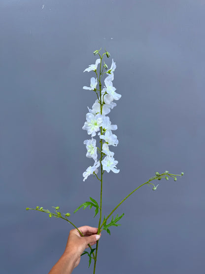 Delphinium wit (Silk-ka)