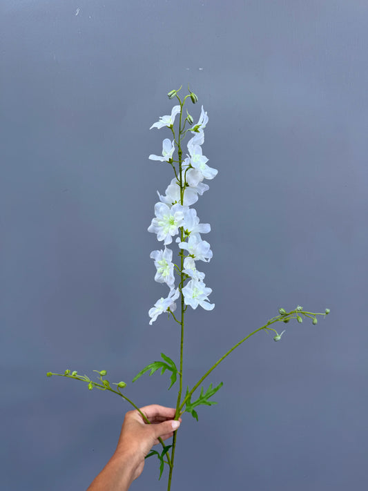 Delphinium wit (Silk-ka)