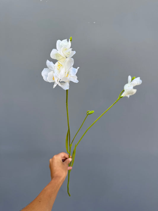 Fresia wit (Silk-ka)