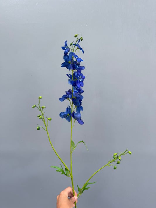 Delphinium dokerblauw (Silk-ka)