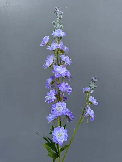Delphinium lichtblauw