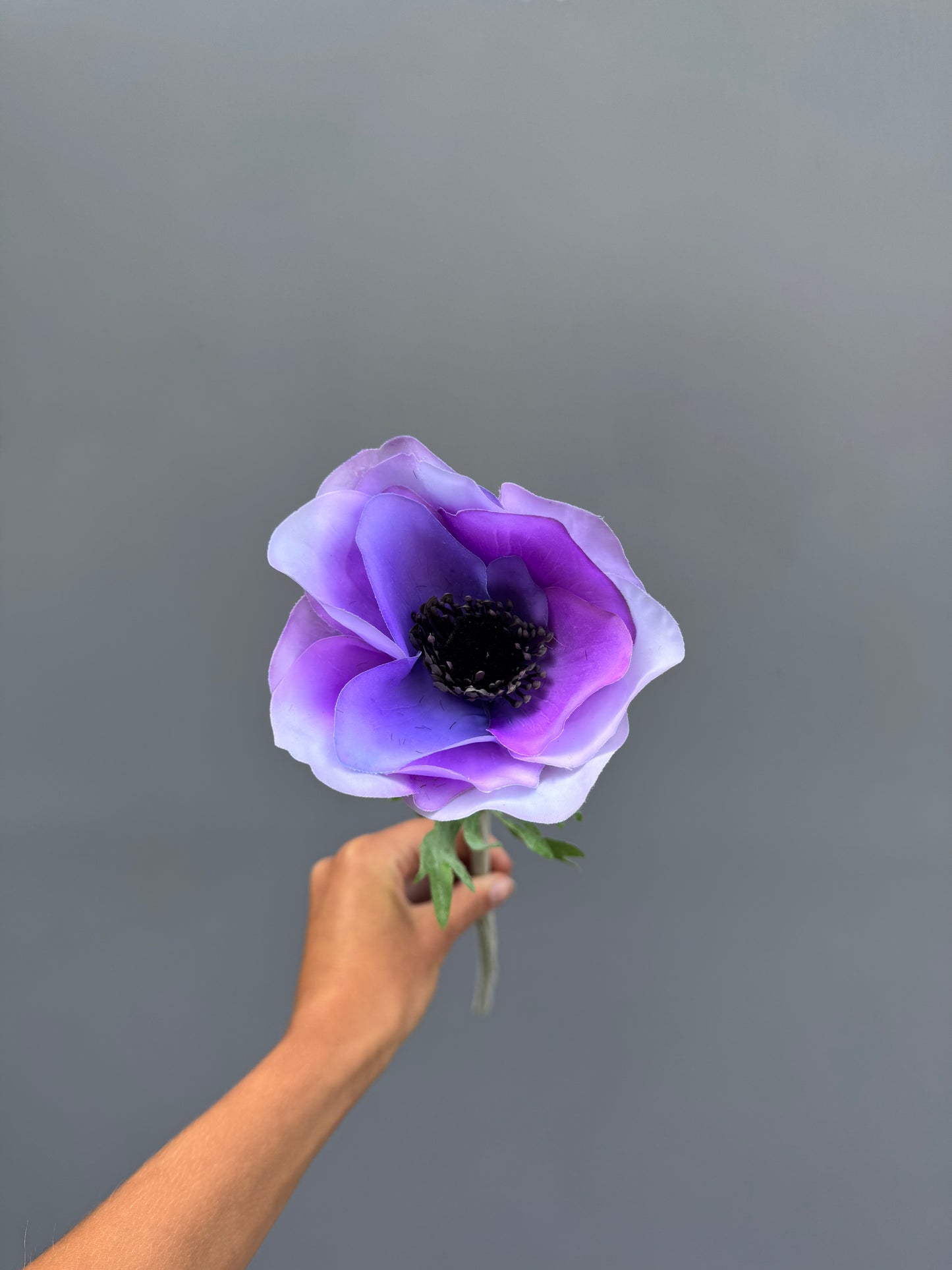 Anemoon lila (Silk-ka)