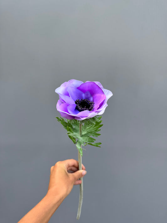 Anemoon lila (Silk-ka)