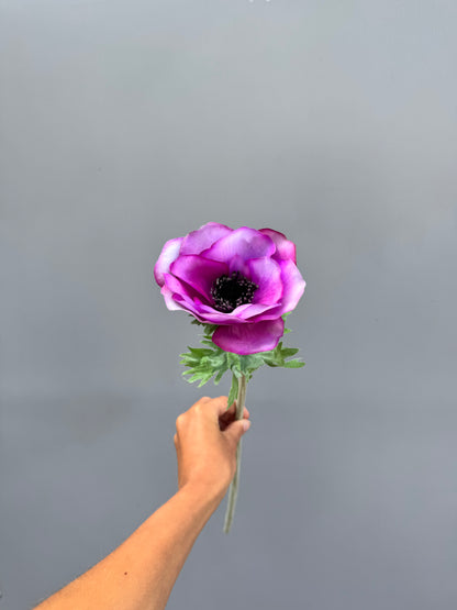 Anemoon paars (Silk-ka)