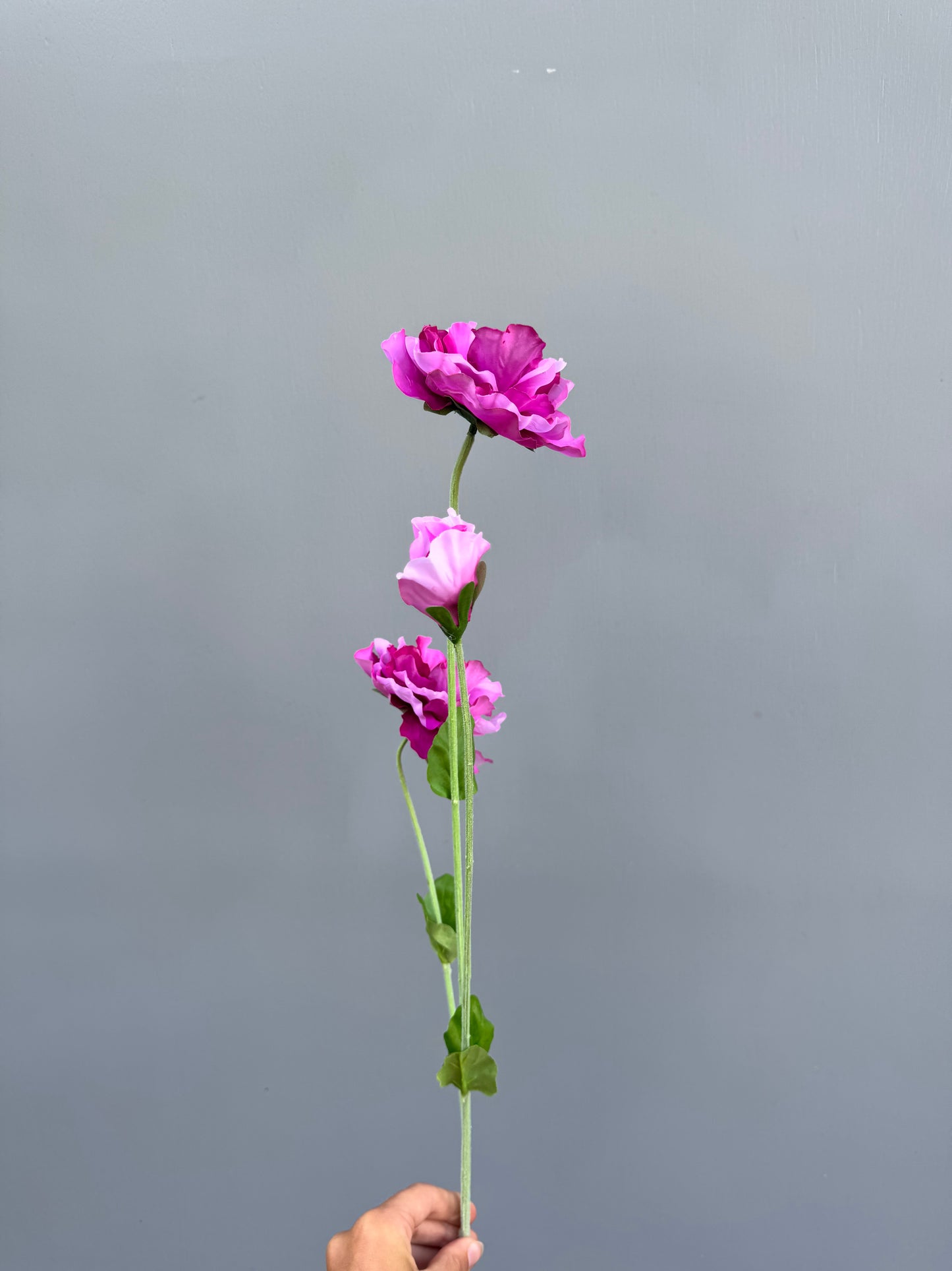 Viool donker roze (Silk-ka)