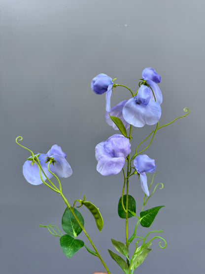 Lathyrus blauw (Silk-ka)