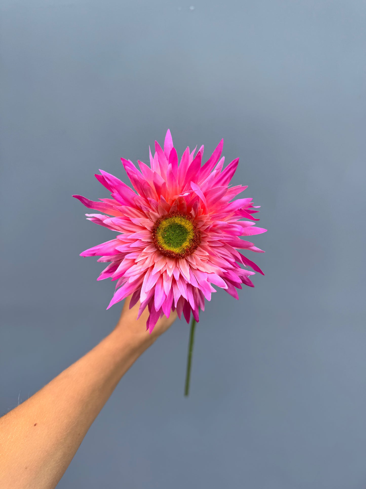 Gerbera donker roze (Silk-ka)