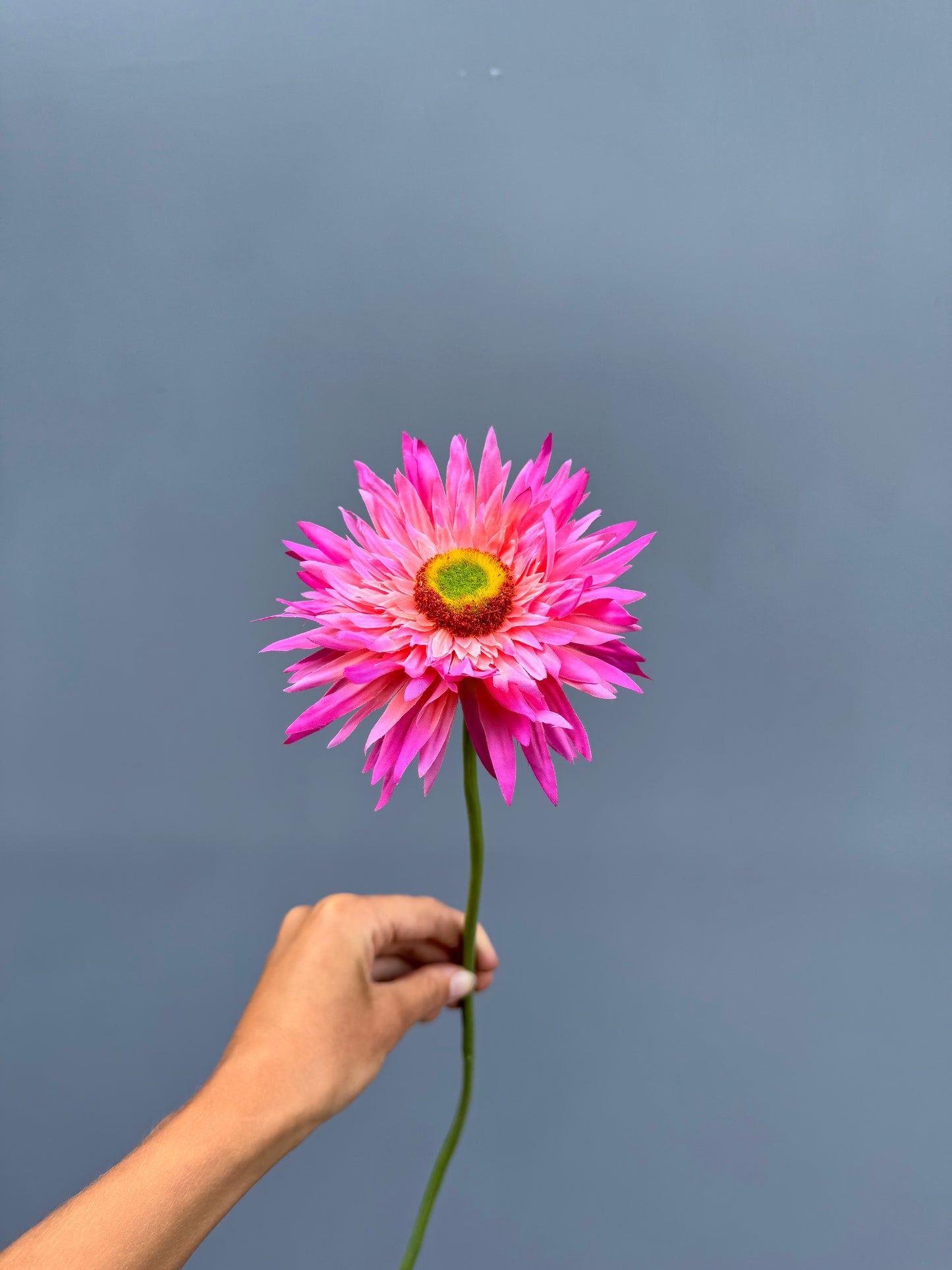 Gerbera donker roze (Silk-ka)