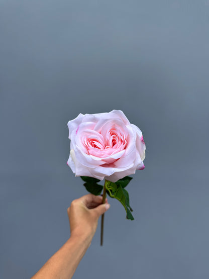 Roos roze (Real touch)