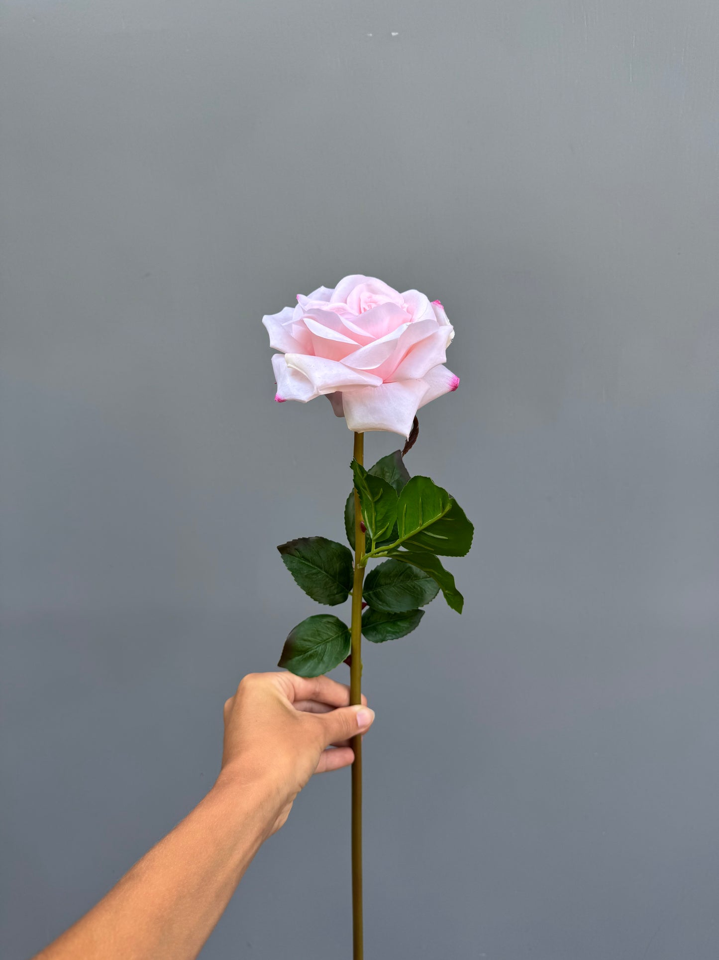 Roos roze (Real touch)