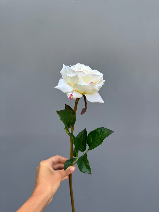 Witte roos (Real touch)