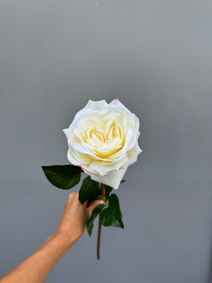 Witte roos (Real touch)