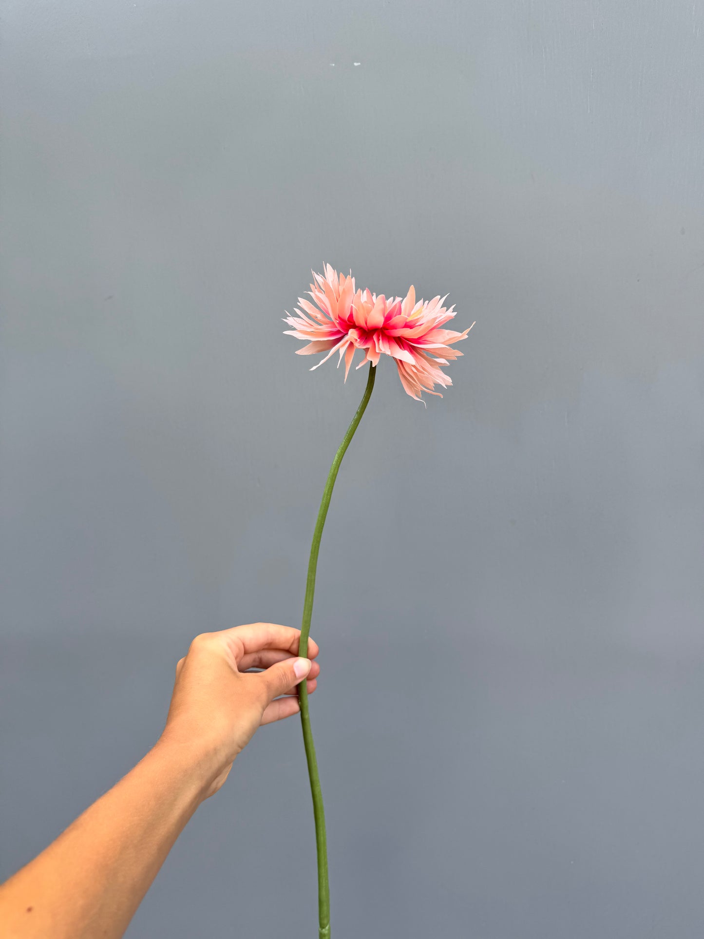 Gerbera licht roze (Silk-ka)