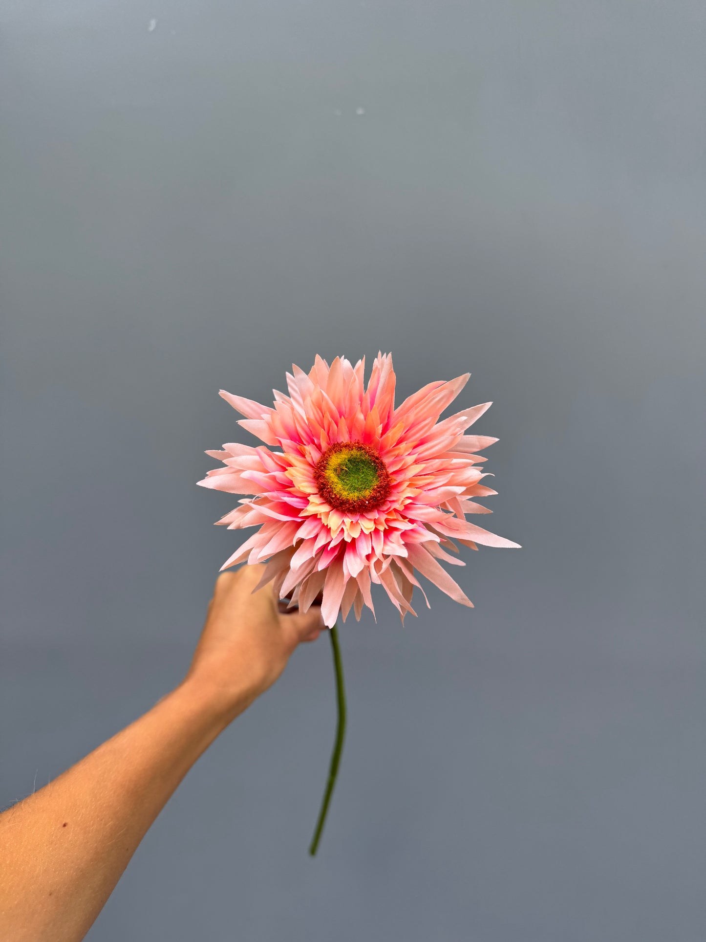 Gerbera licht roze (Silk-ka)