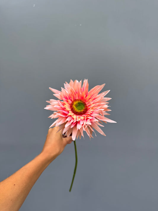 Gerbera licht roze (Silk-ka)