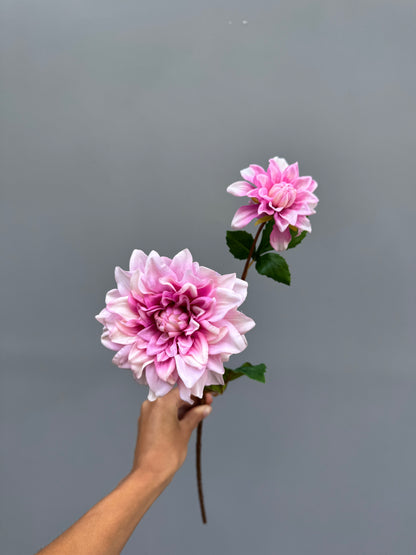 Dahlia roze (Real touch)