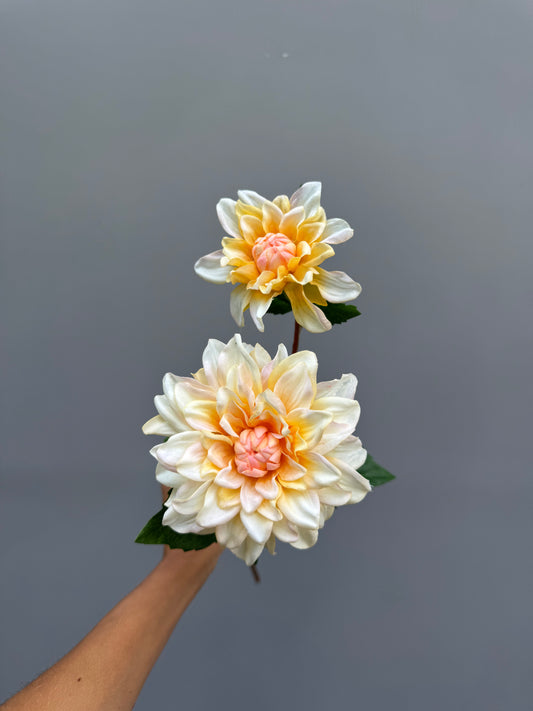 Dahlia geel (Real touch)