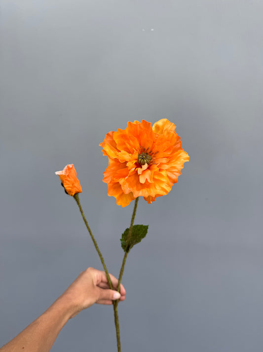 Klaproos oranje (Silk-ka)