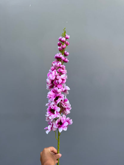 Delphinium roze (Silk-ka)