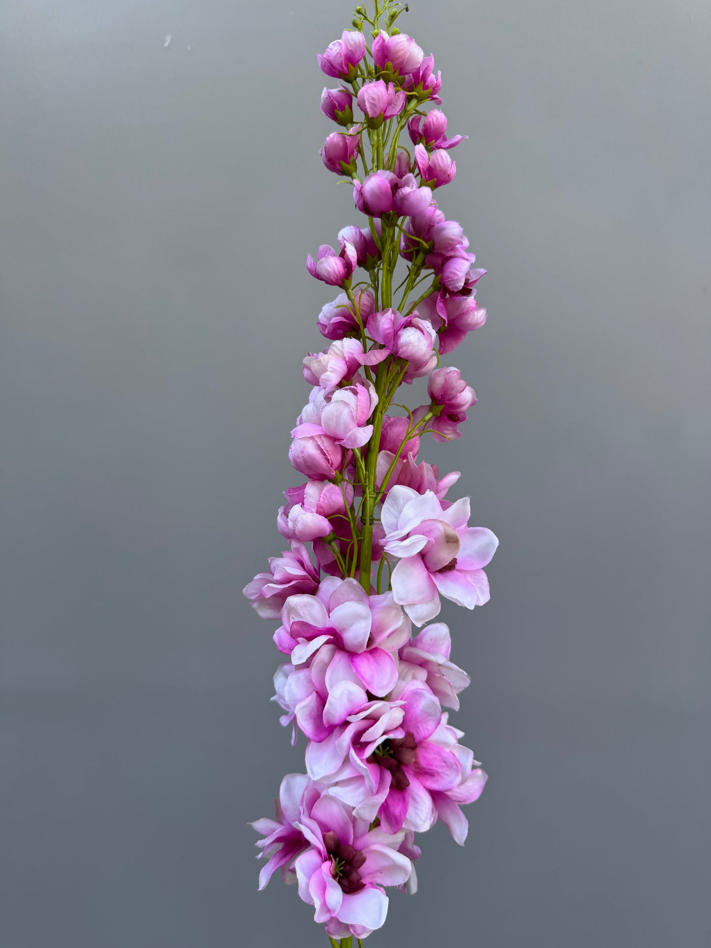 Delphinium roze (Silk-ka)