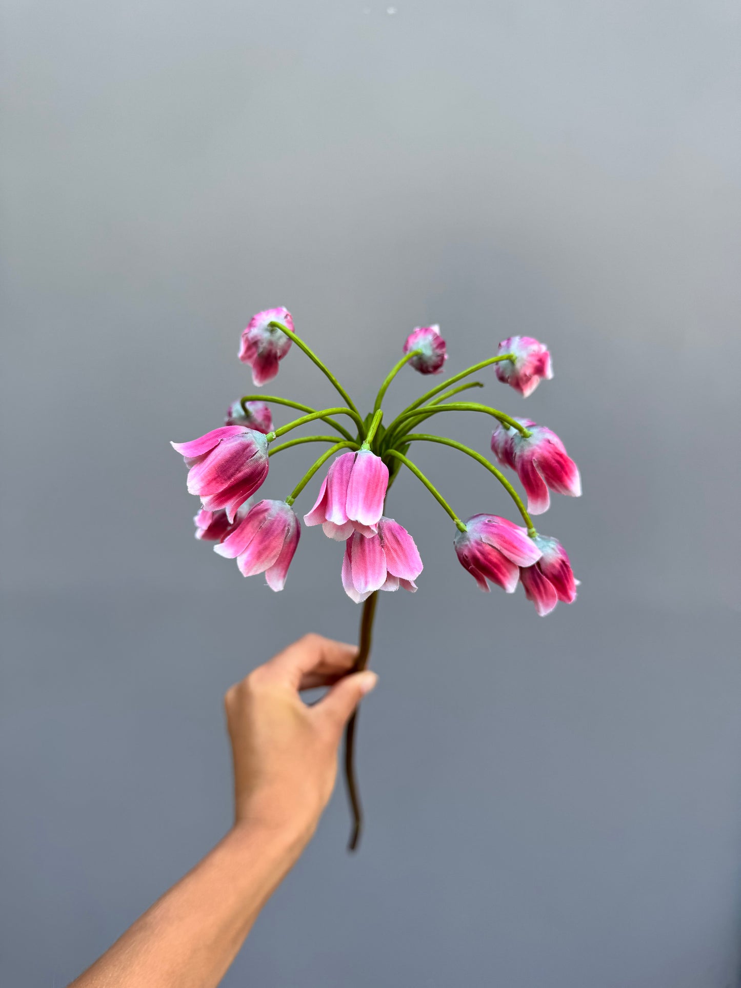 Allium roze (Silk-ka)