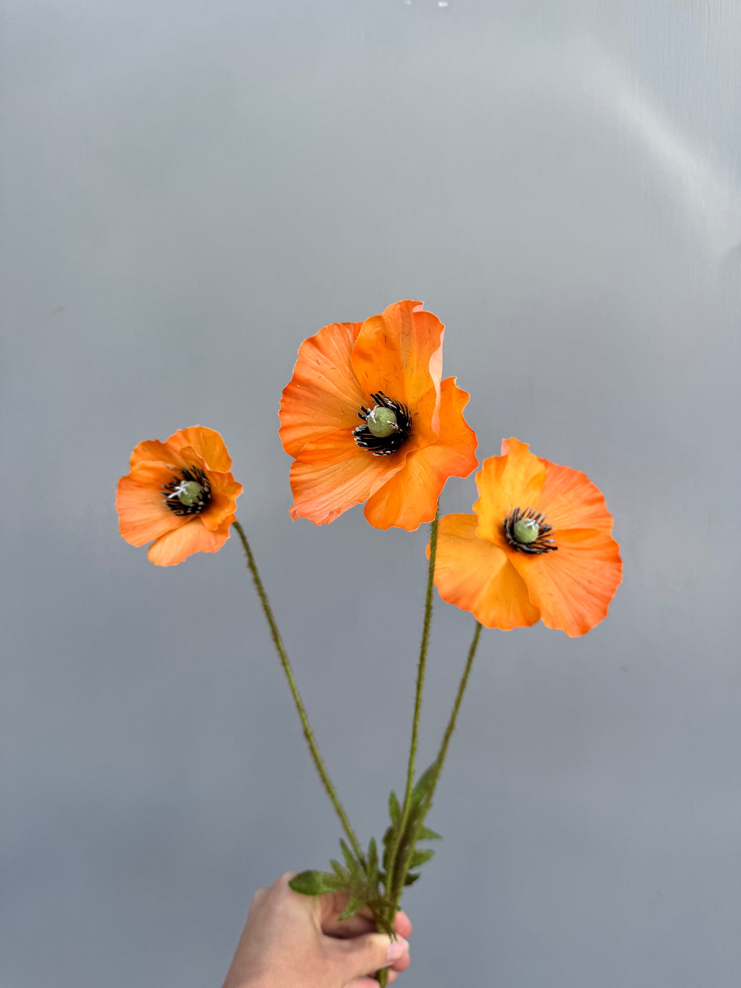 Klaproosje oranje (Silk-Ka)