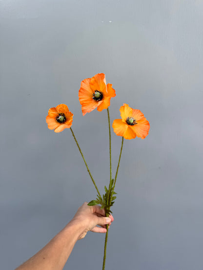 Klaproosje oranje (Silk-Ka)