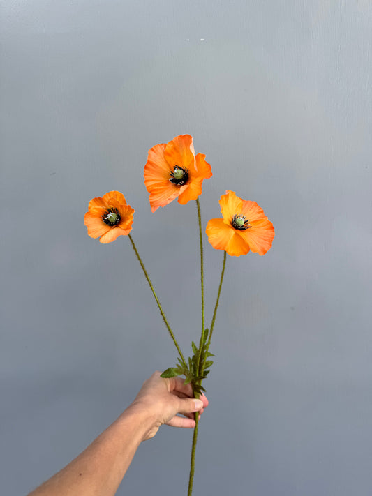 Klaproosje oranje (Silk-Ka)